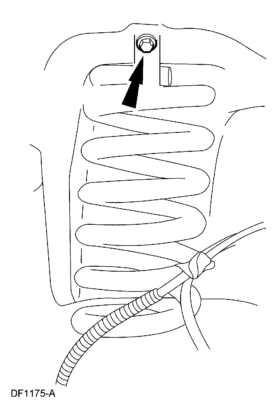 G03904100