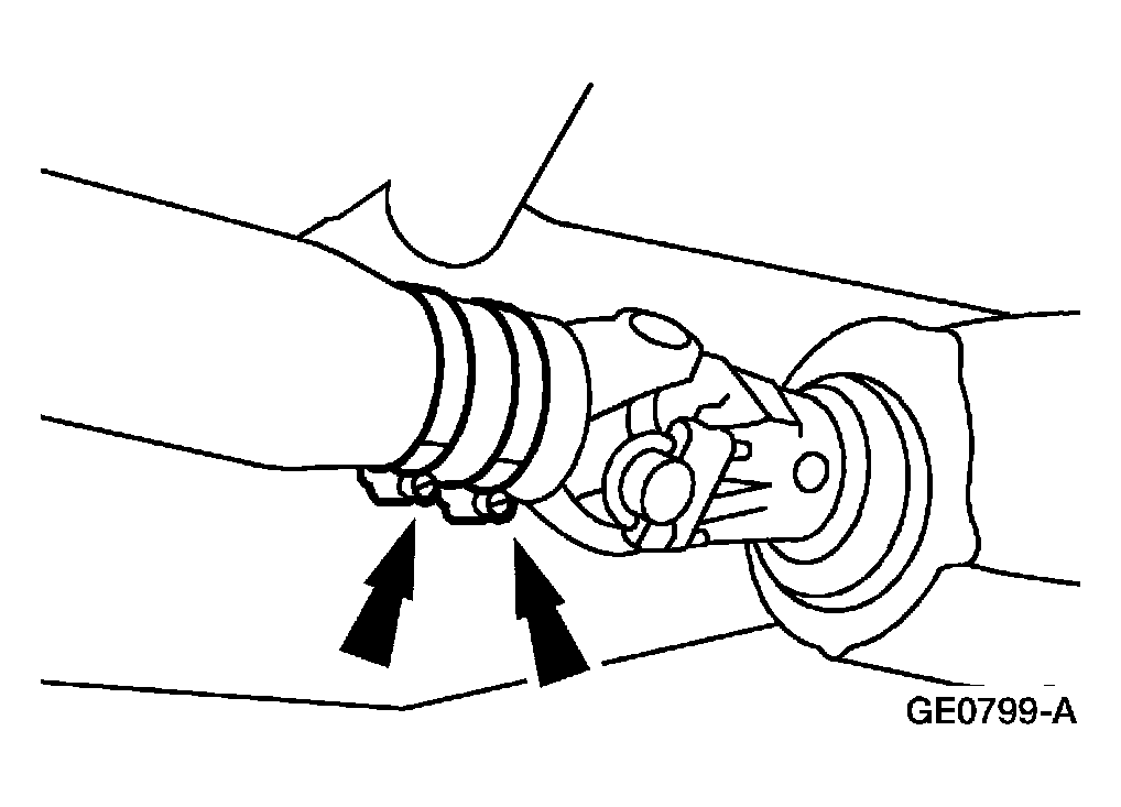 G03904256