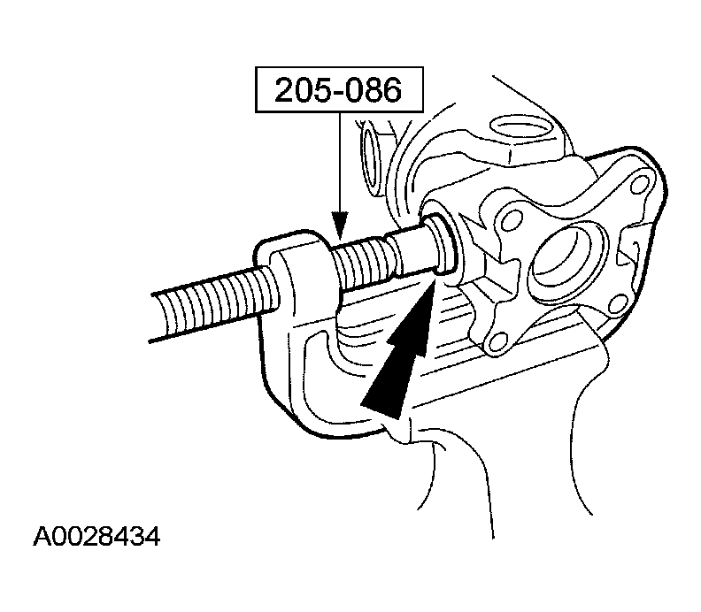 G03904337