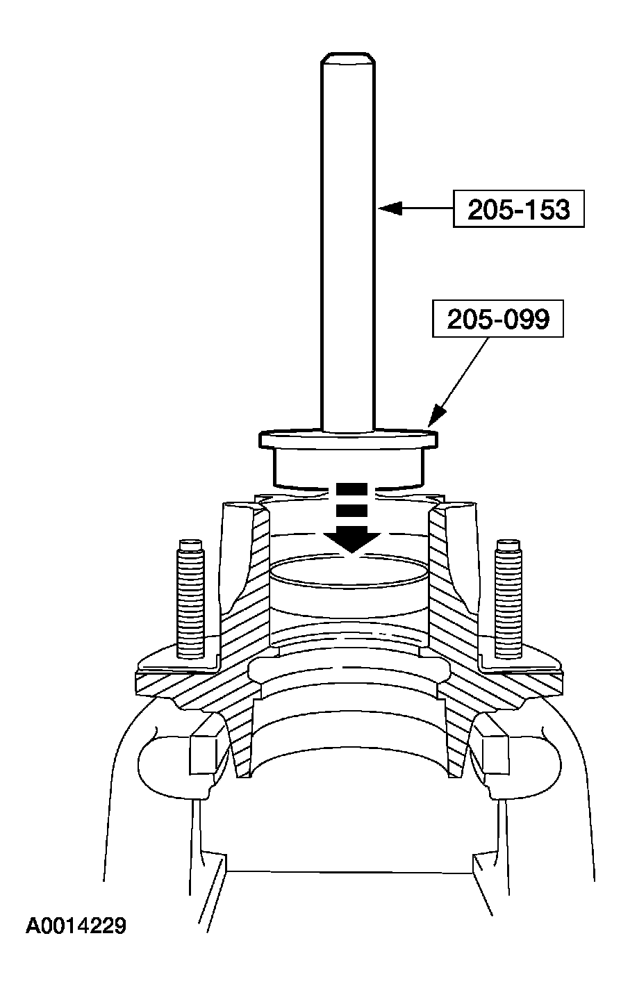 G03904714