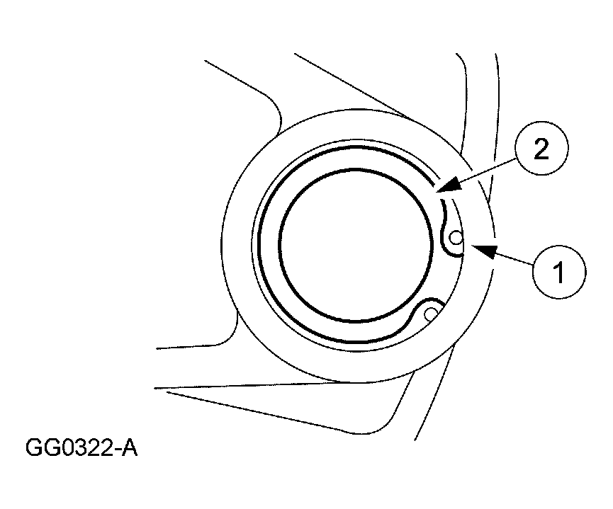 G03905025