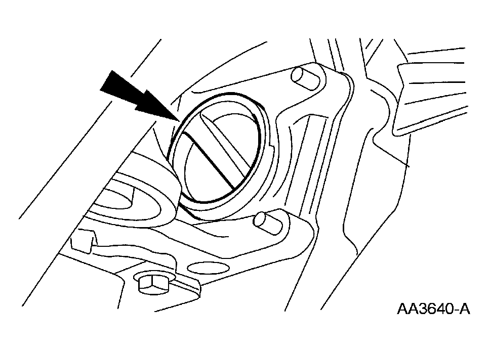 G03905685