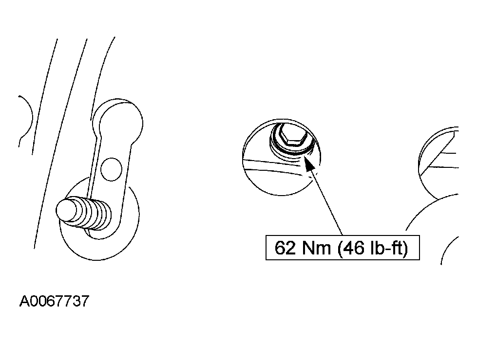 G03907181