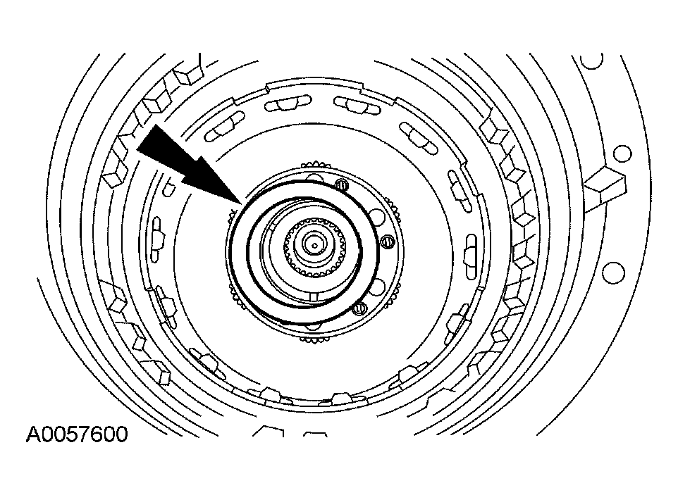 G03909072