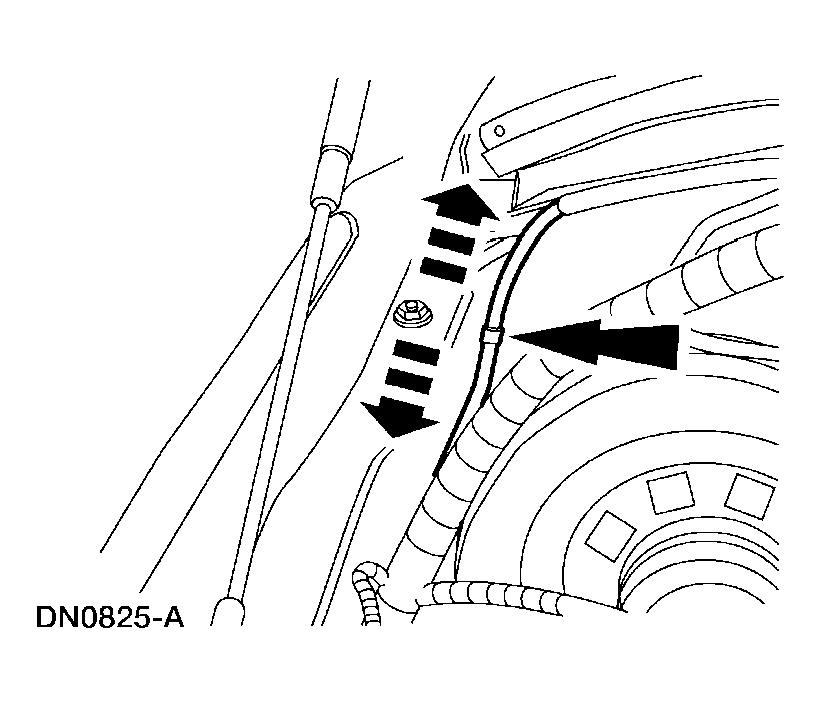 G03911189