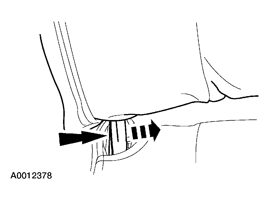 G03911433