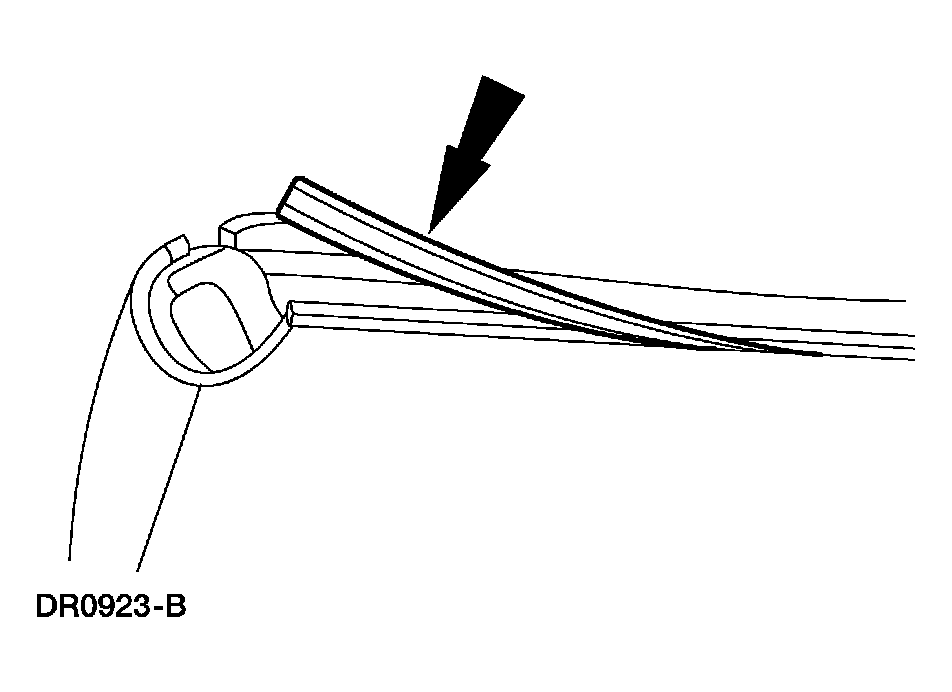 G03911531