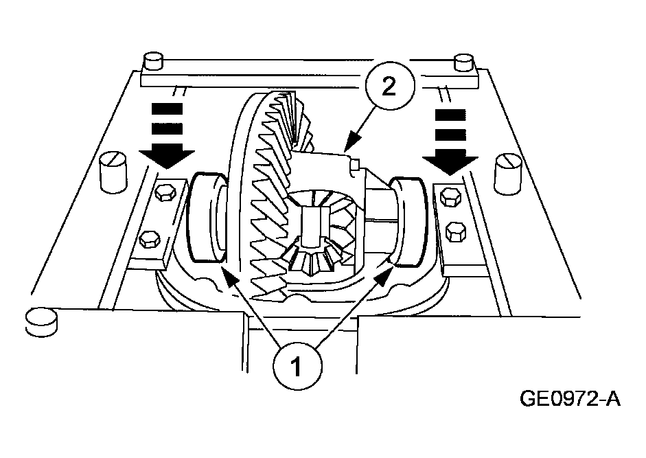 G03913023