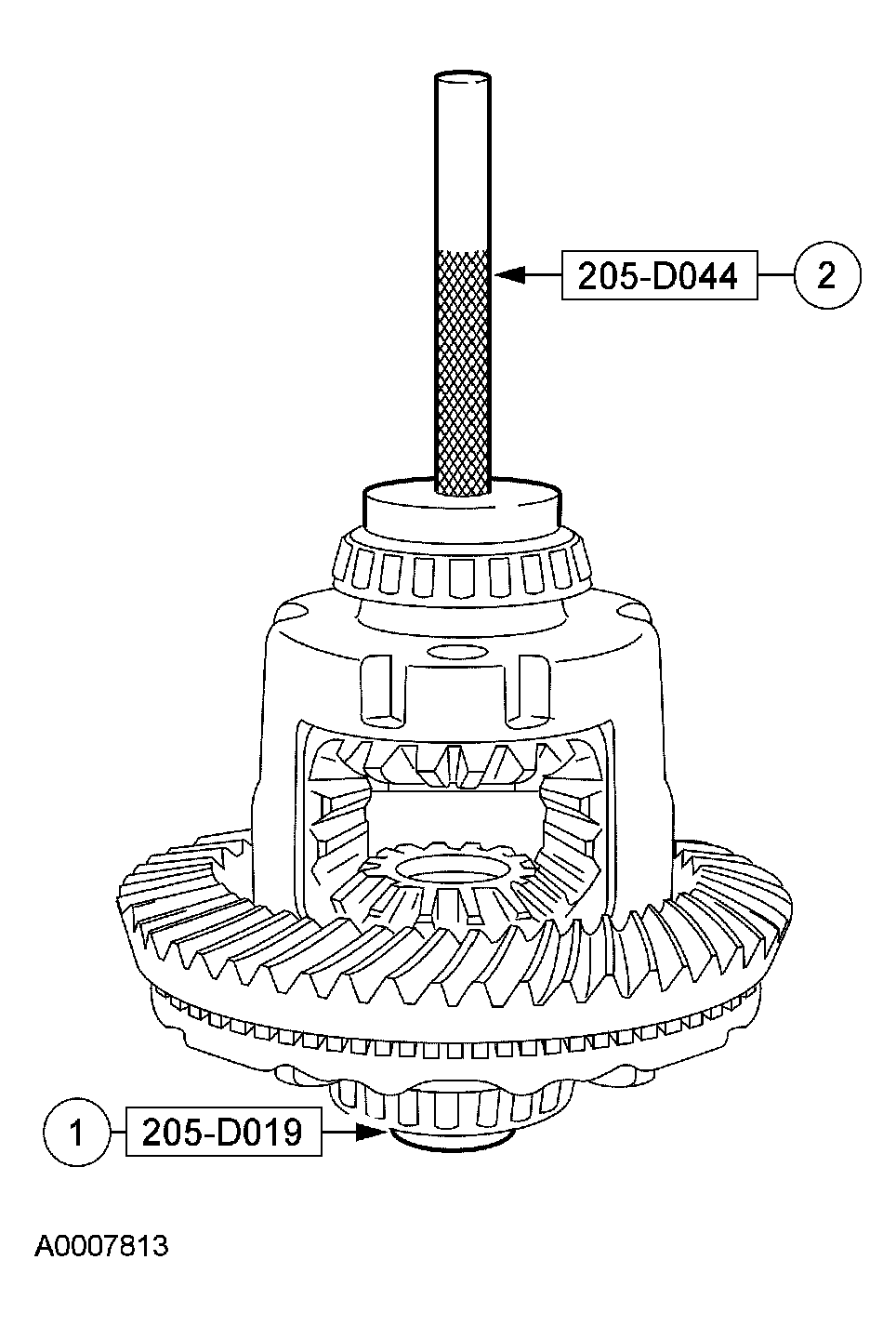 G03918223