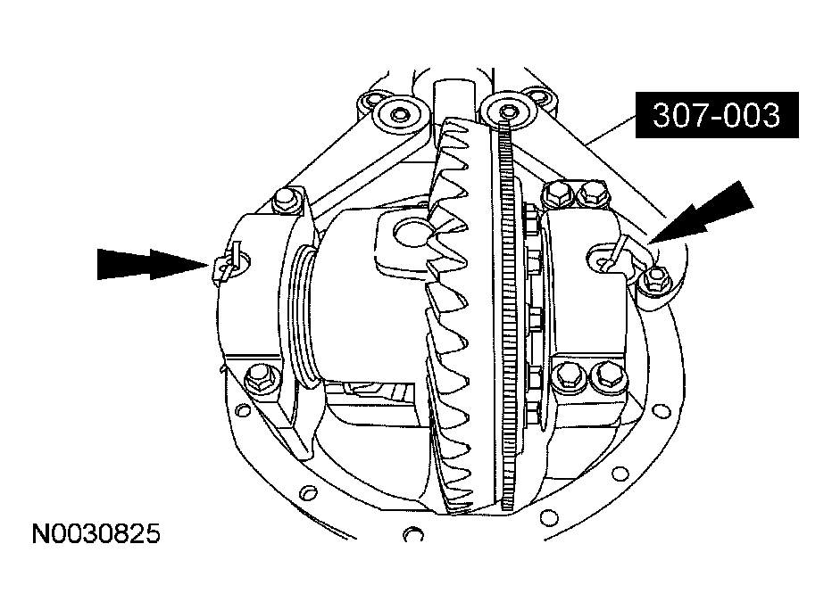 G03918568