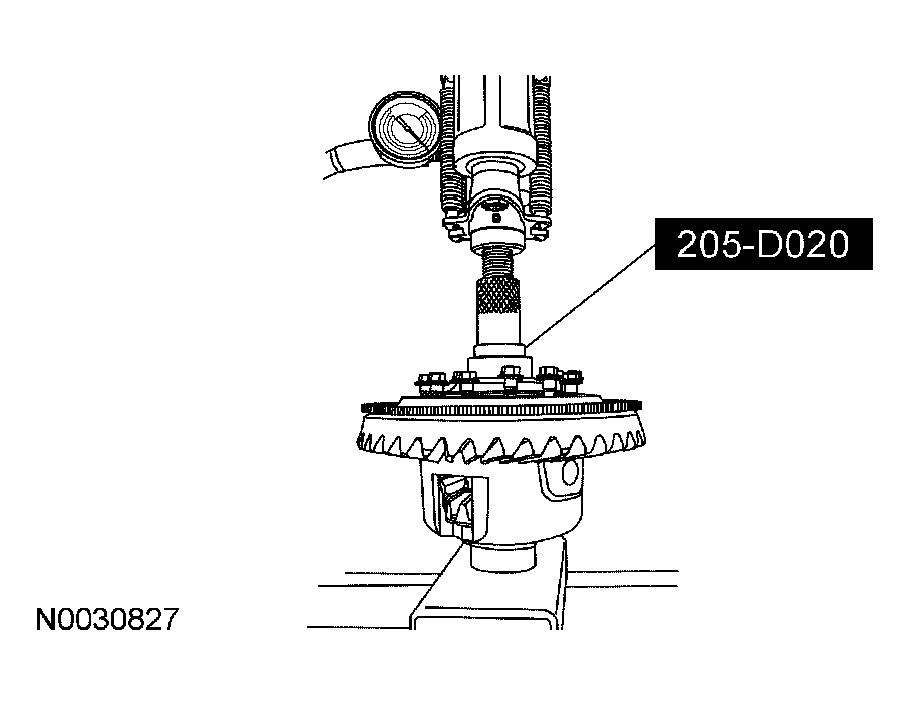 G03918609