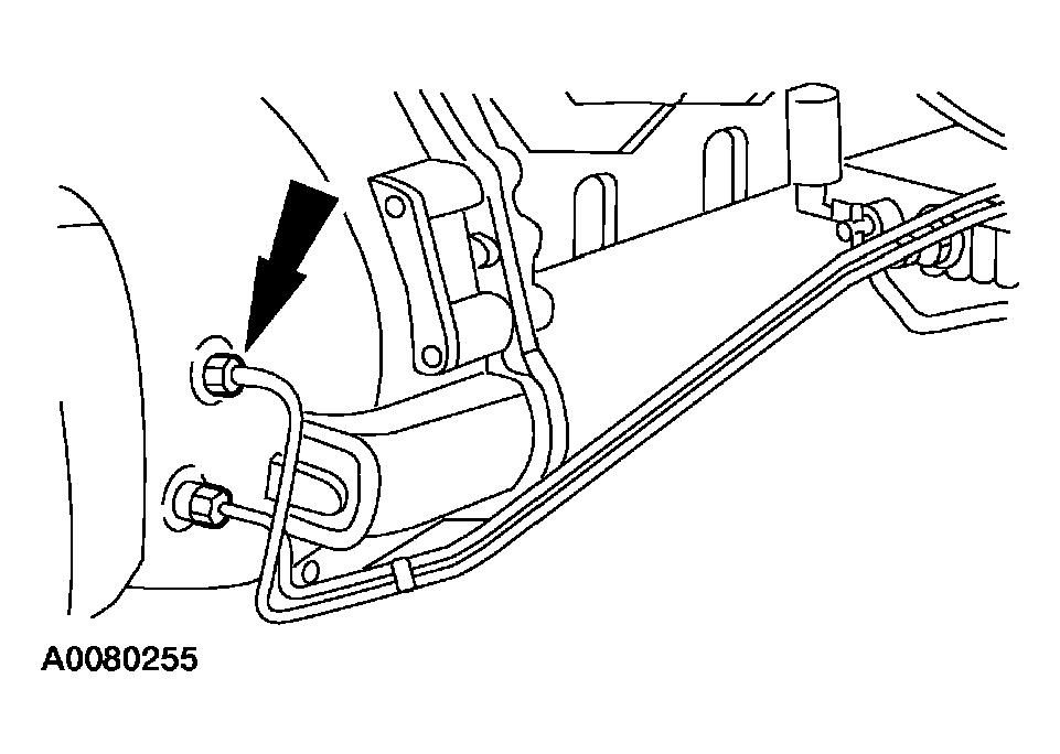 G03923236