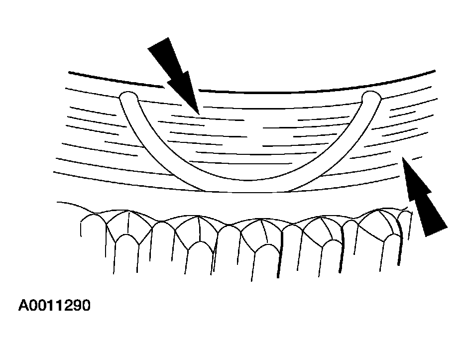 G03923293