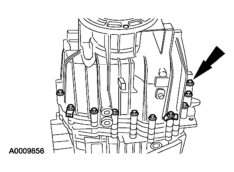 G03923441