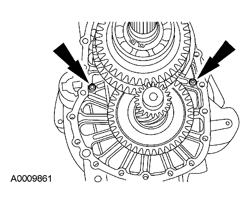G03923446