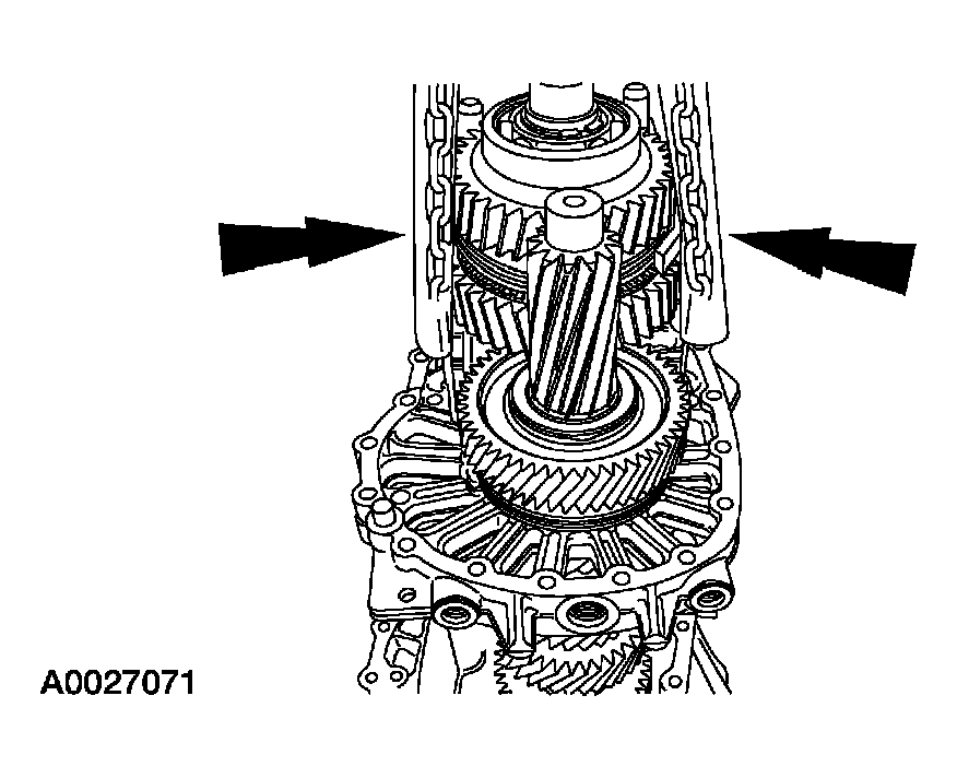 G03923449