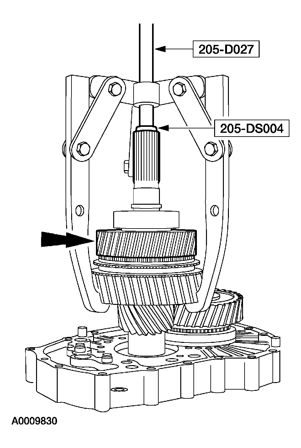 G03923461