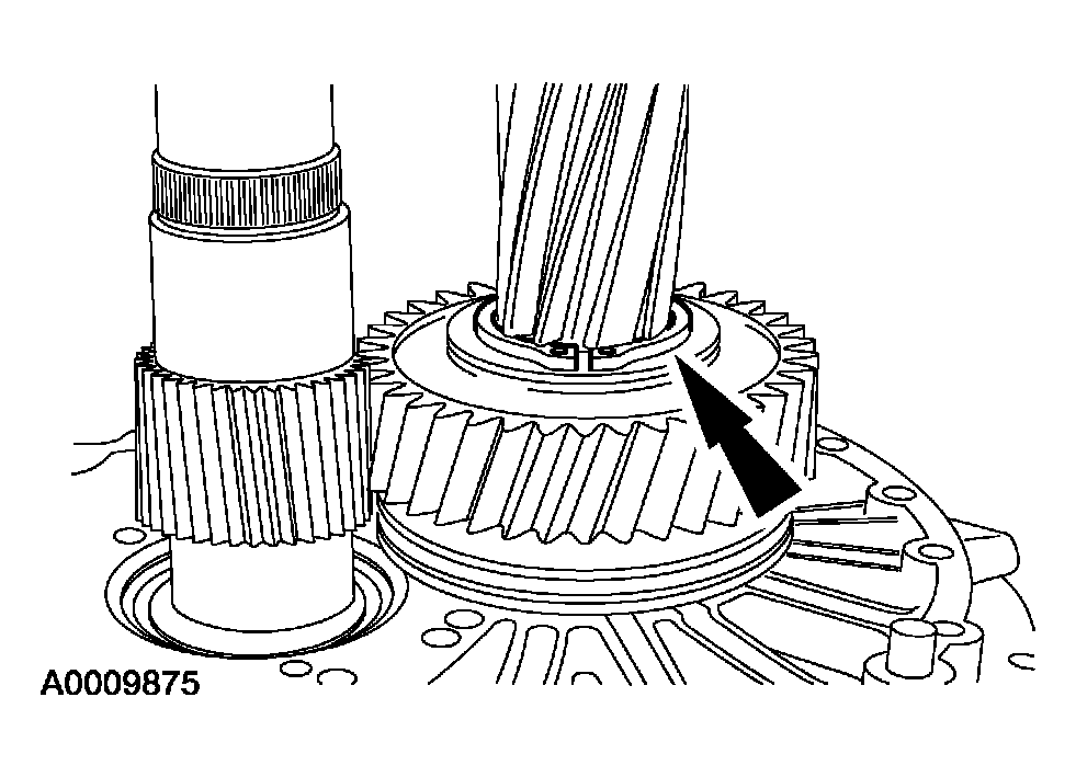 G03923469