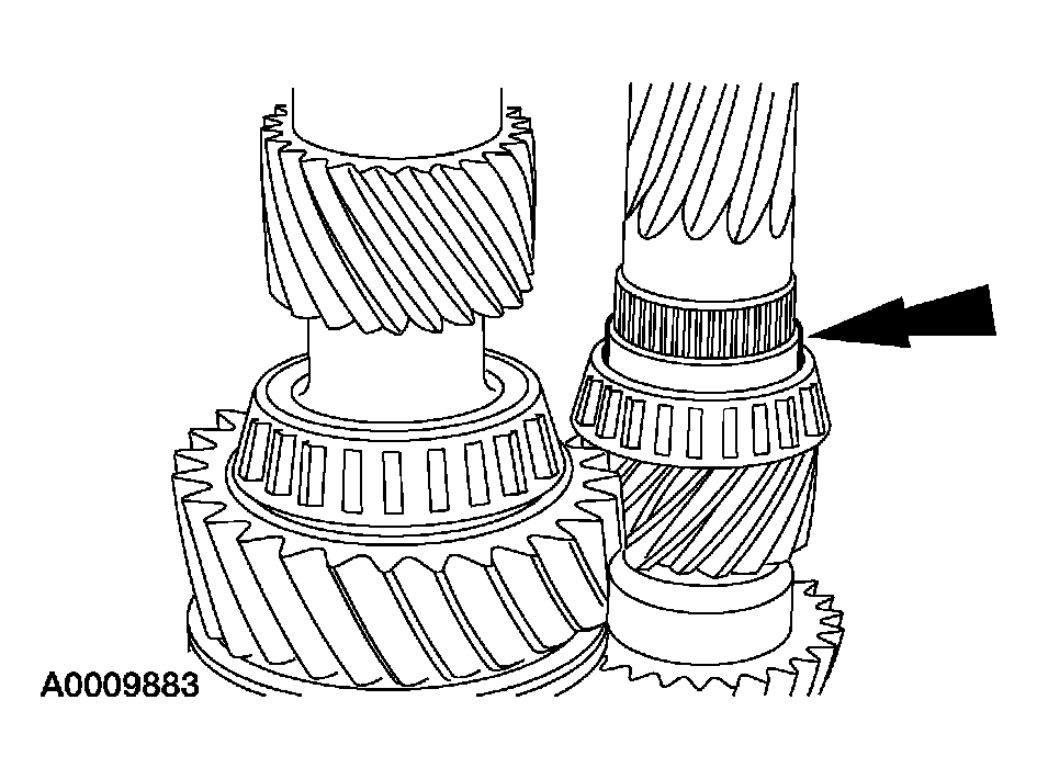 G03923479