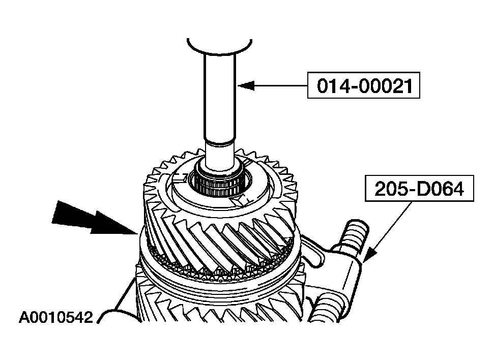 G03923508
