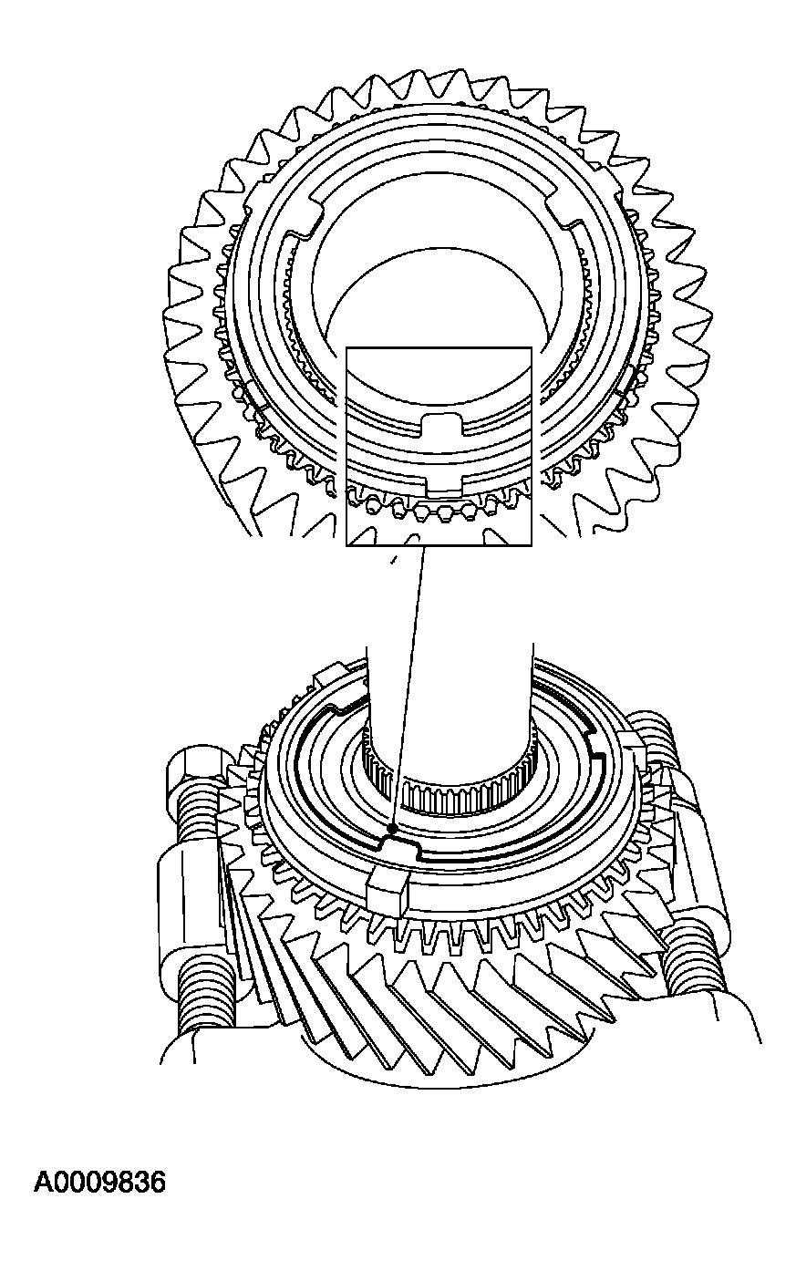 G03923516