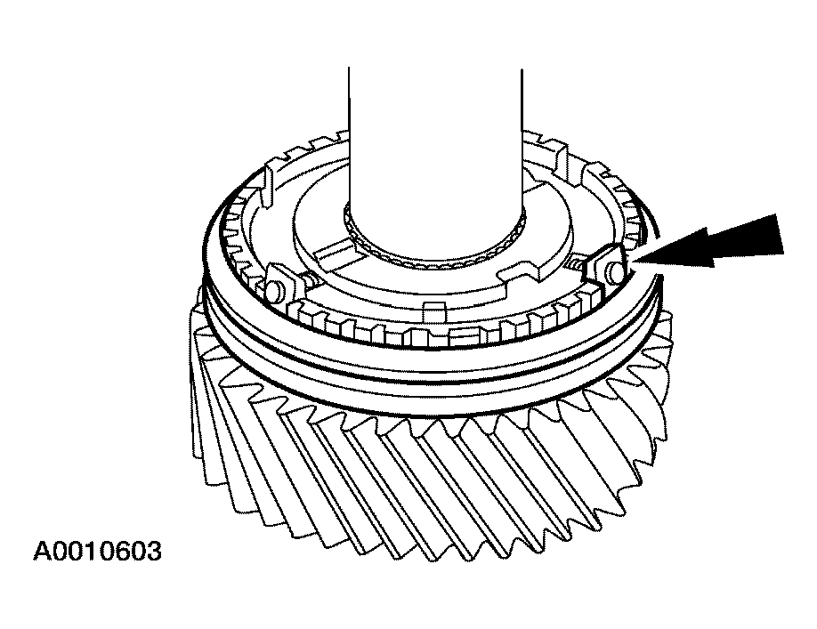 G03923519