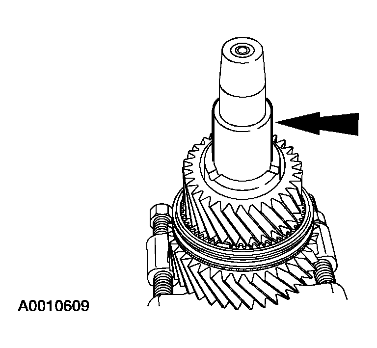 G03923525