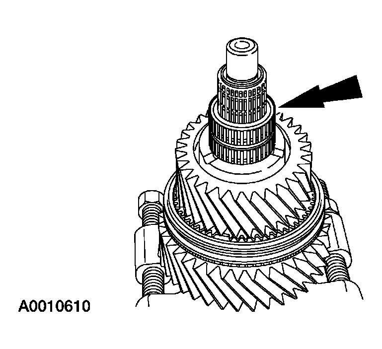 G03923526