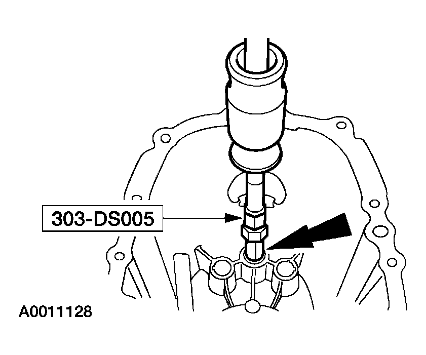 G03923569