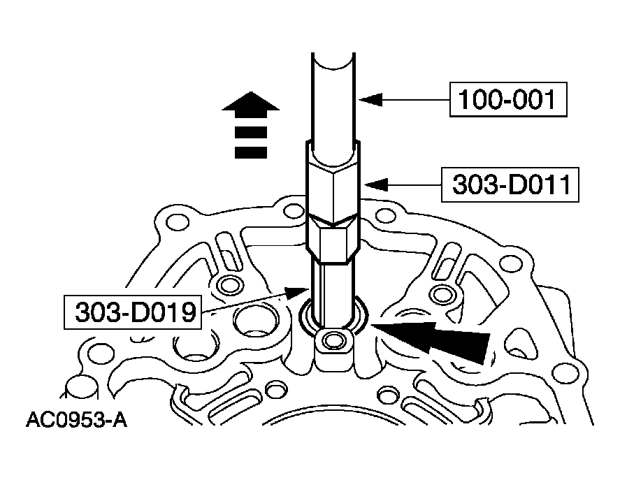 G03923584