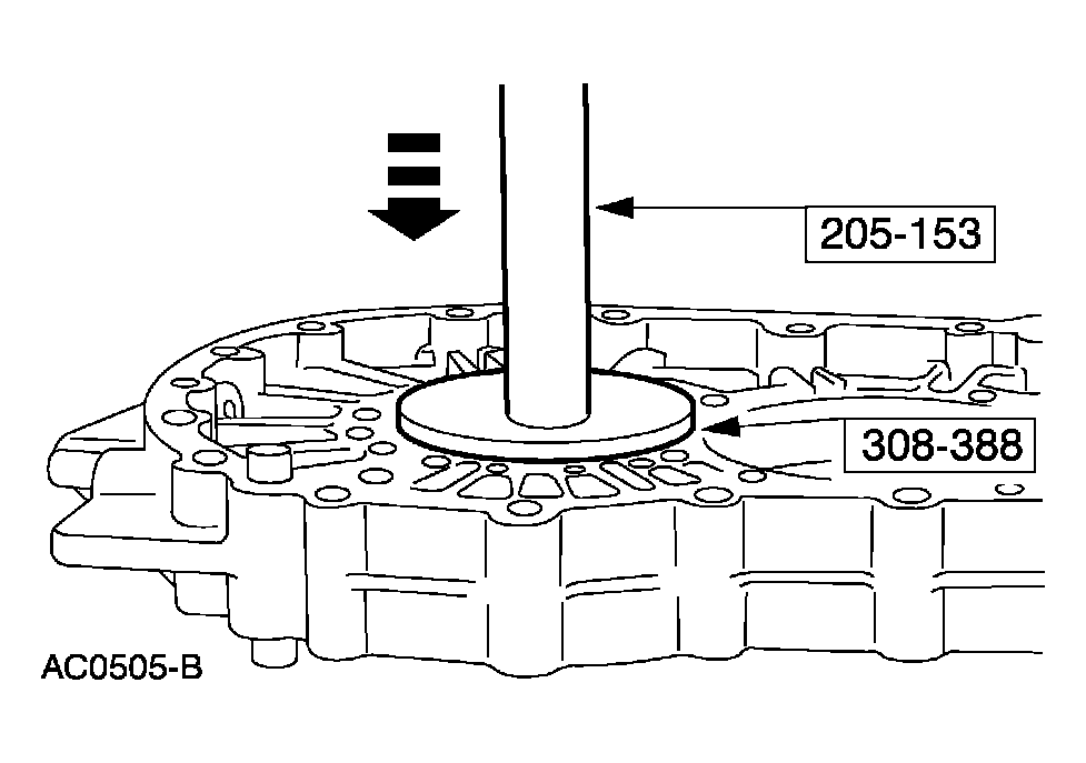 G03923585