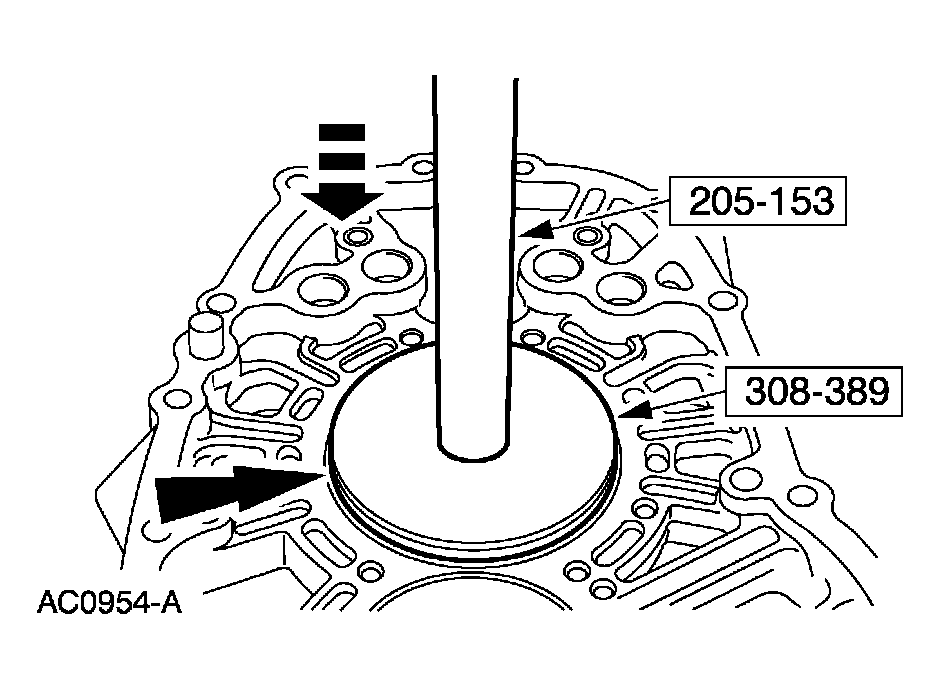 G03923586