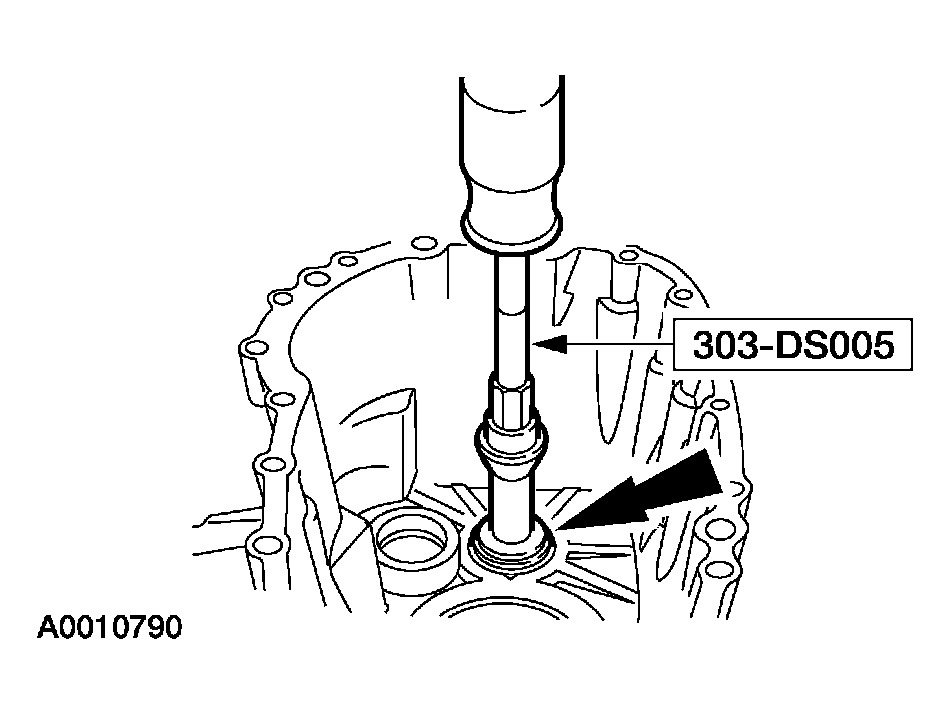 G03923598