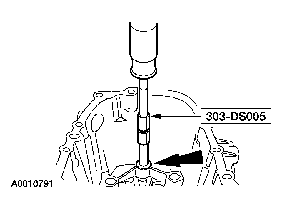 G03923599