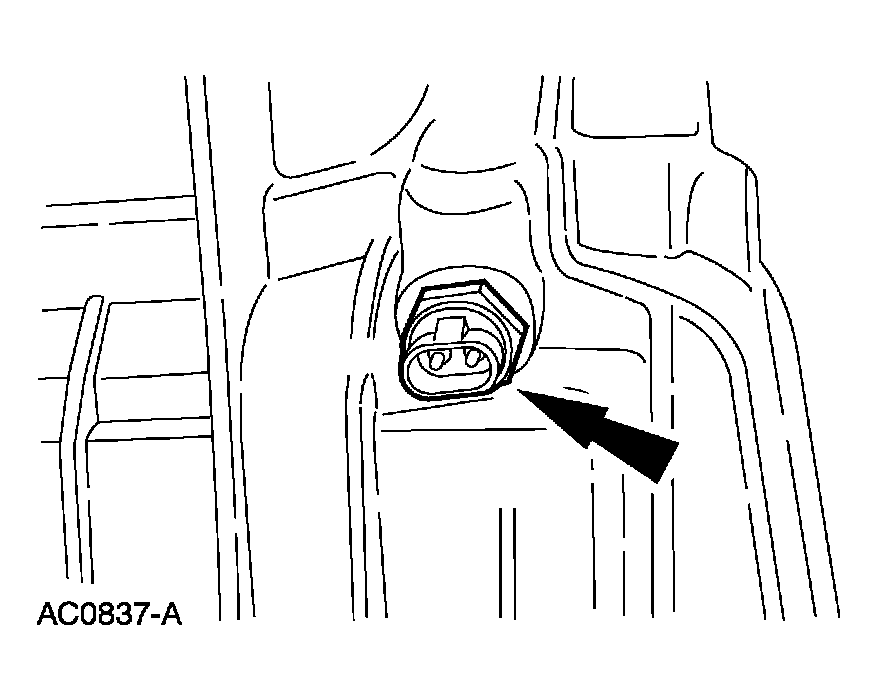 G03923600