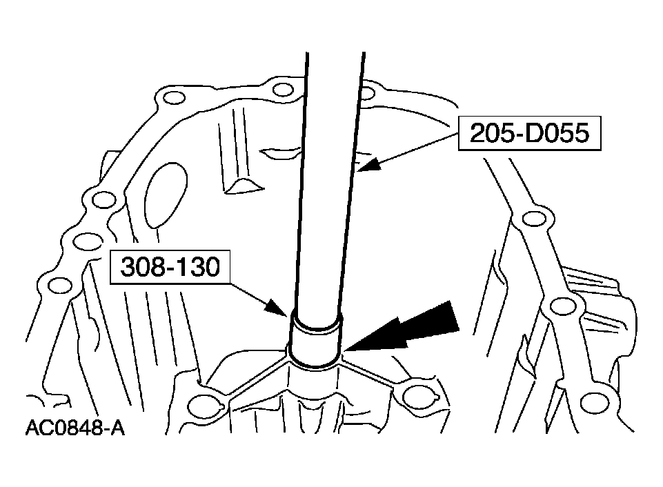 G03923604