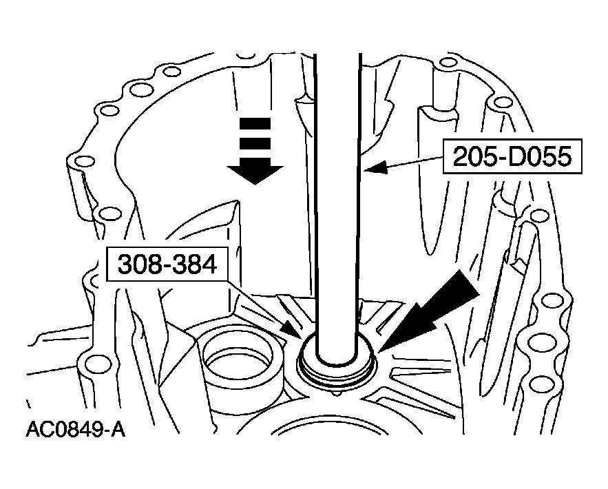 G03923605