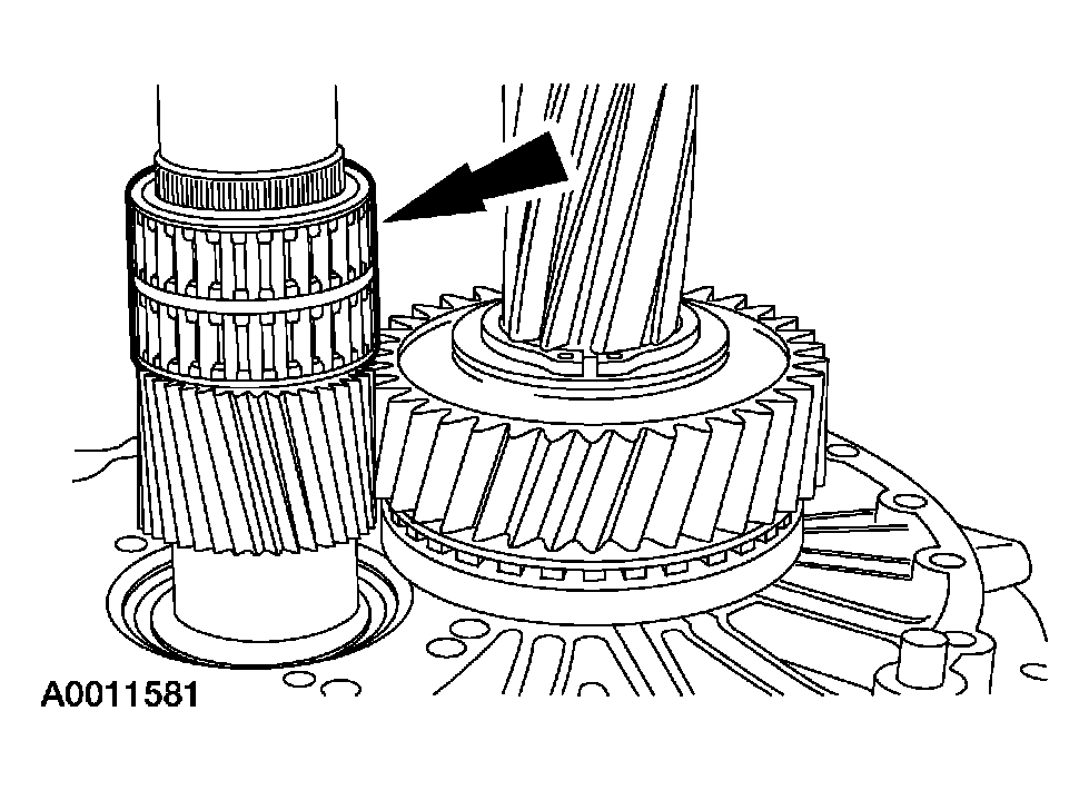 G03923641