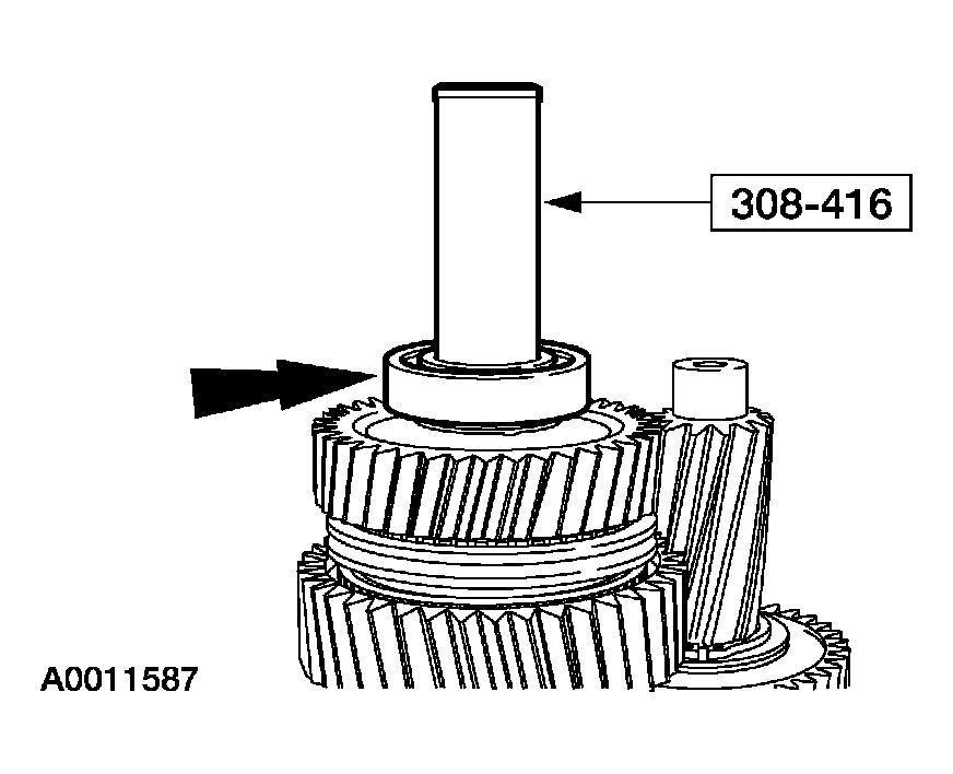 G03923648
