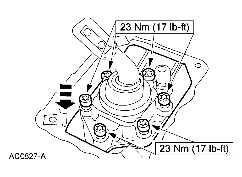 G03923709