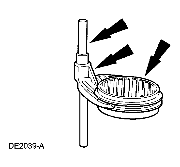 G03923921
