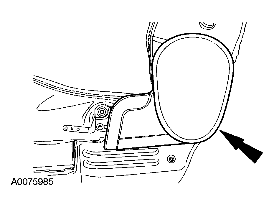 G03925521