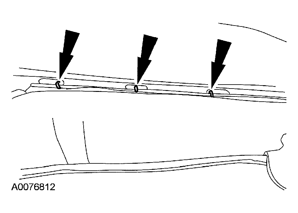 G03925637