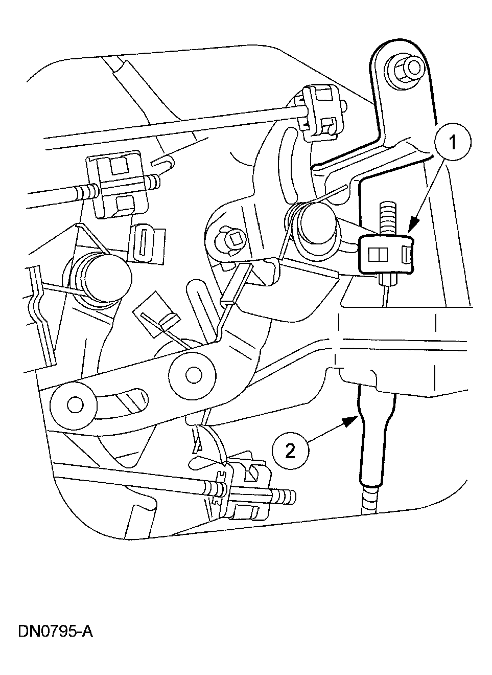 G03925942