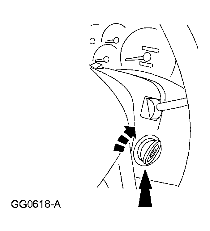 G03925980