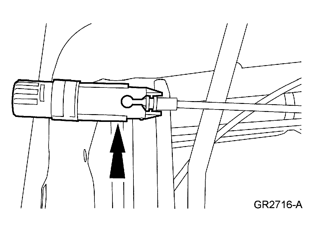 G03931916