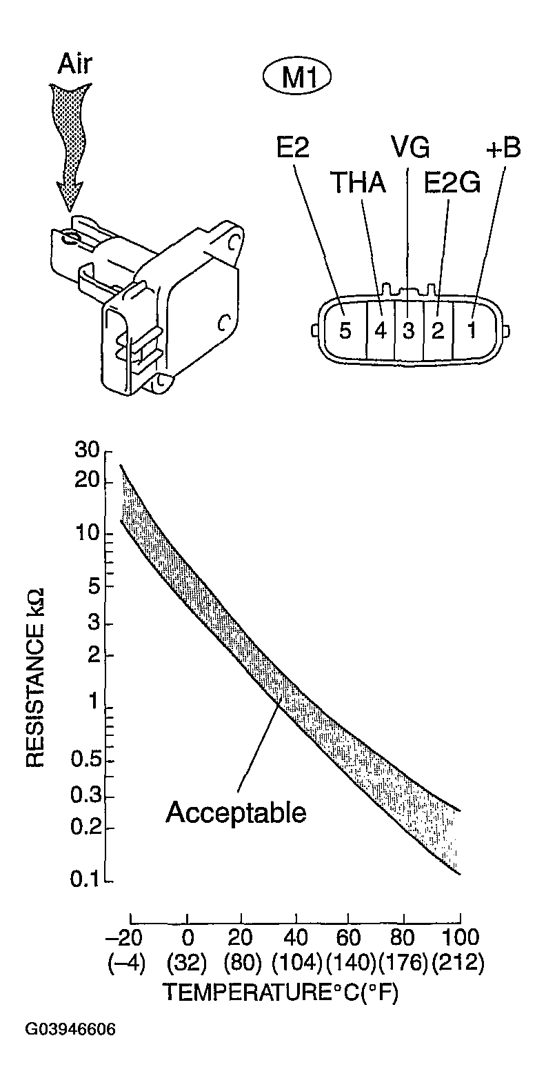 G03946606