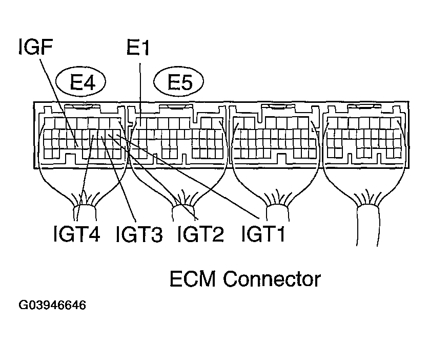 G03946646