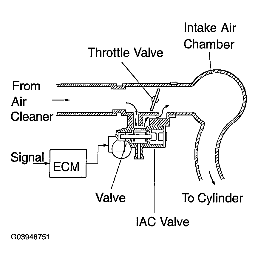 G03946751