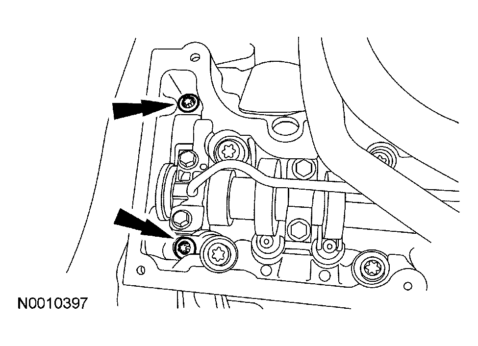 G03946981